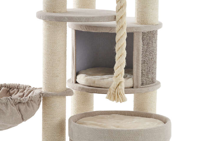 Nobby Kratzbaum Fida